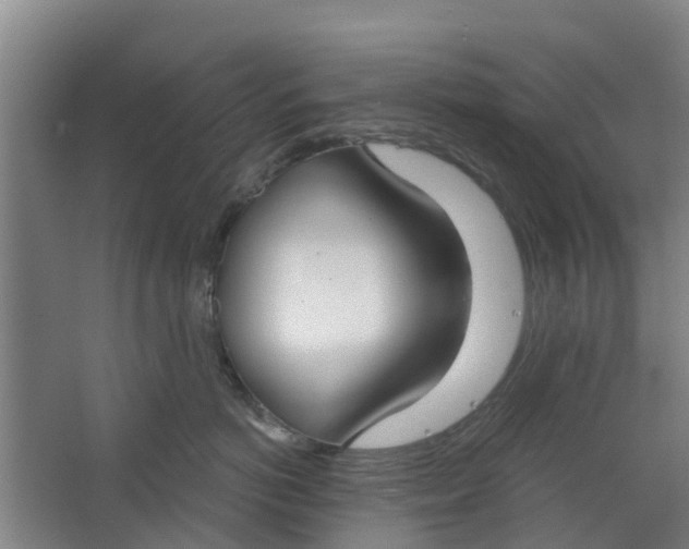 X0000062860766200601271530