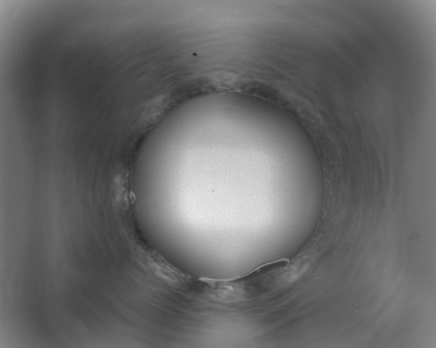 X0000062860768200601271530