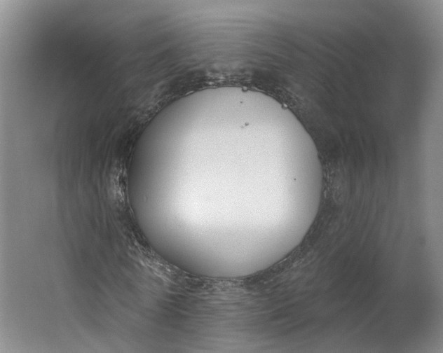 X0000062860770200601271529