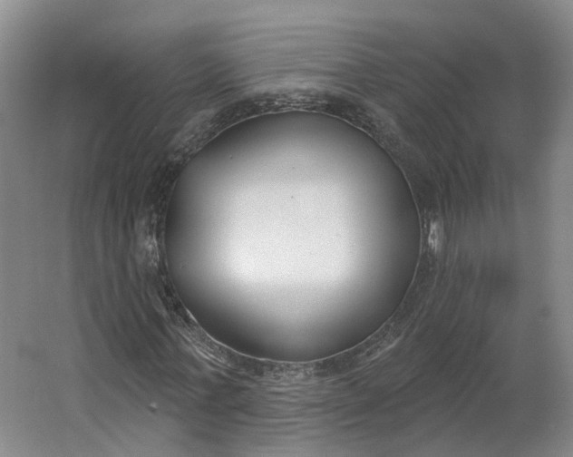 X0000062860771200601271529