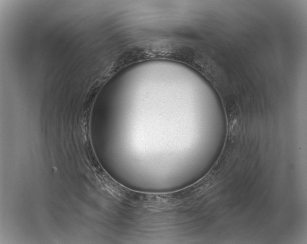 X0000062860772200601271529