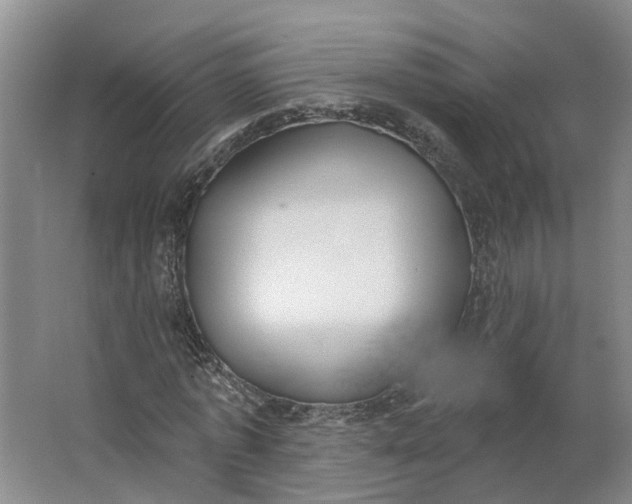 X0000062860773200601271529