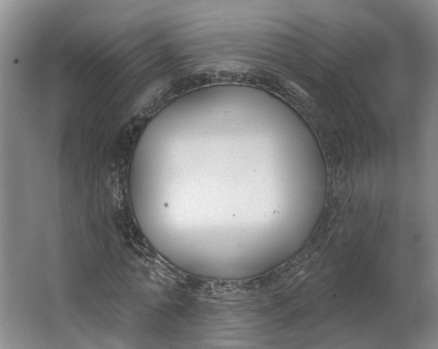 X0000062860774200601271529