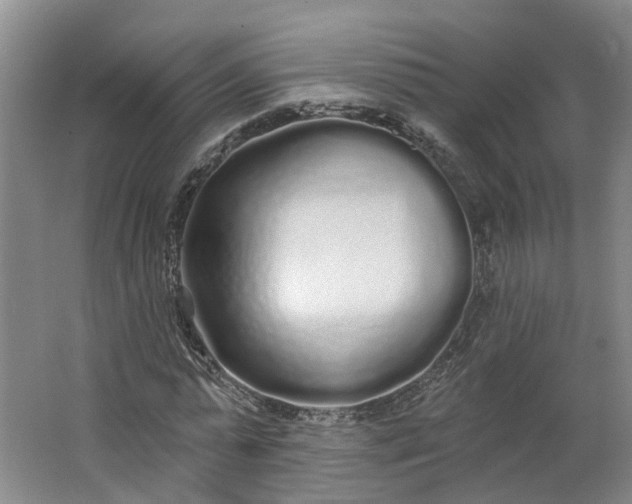 X0000062860775200601271529