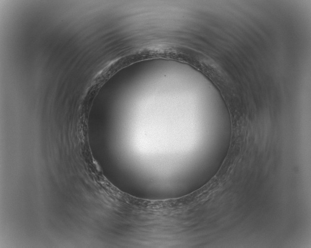 X0000062860776200601271529