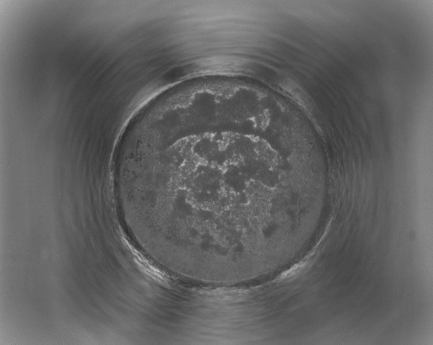 X0000062860779200601271529