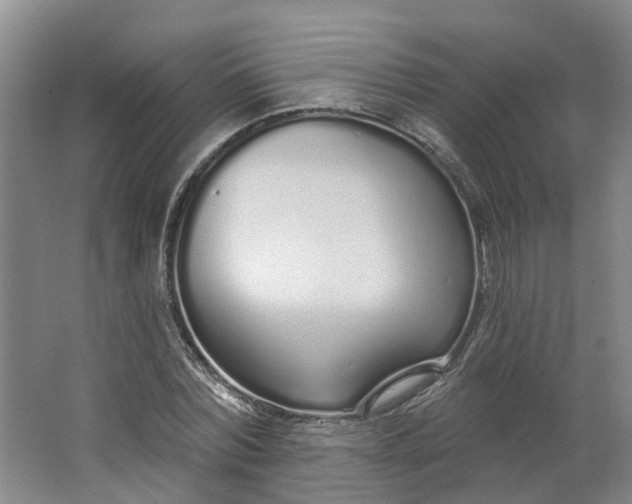 X0000062860780200601271529