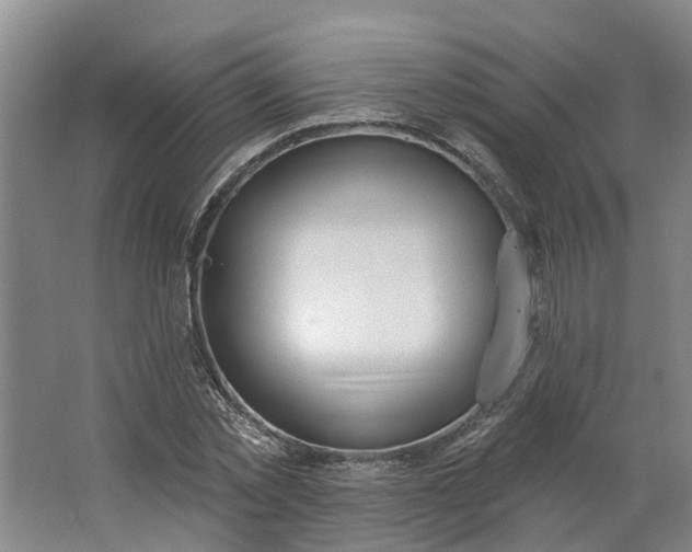 X0000062860781200601271529