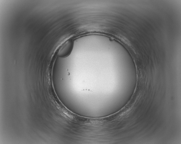 X0000062860782200601271529