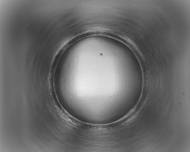 X0000062860783200601271529