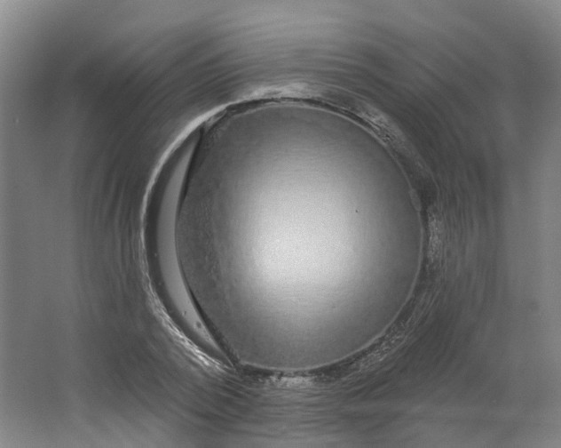 X0000062860784200601271529