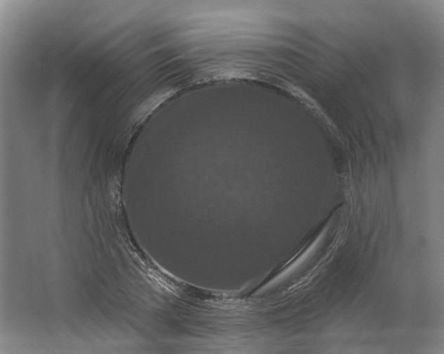 X0000062860785200601271529