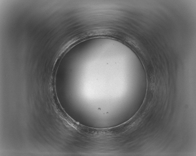 X0000062860786200601271529