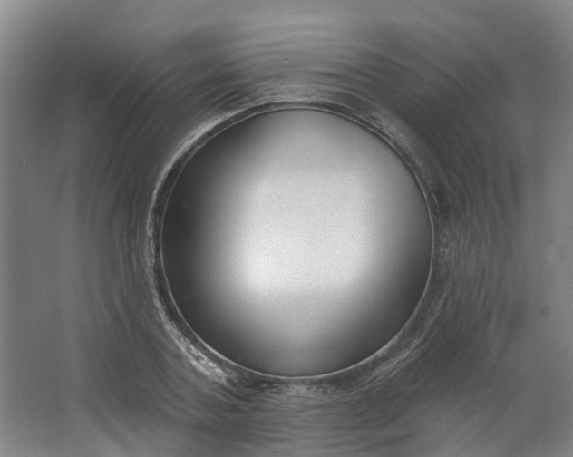 X0000062860787200601271529