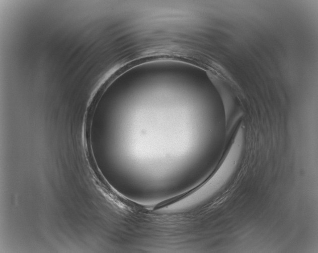 X0000062860788200601271529