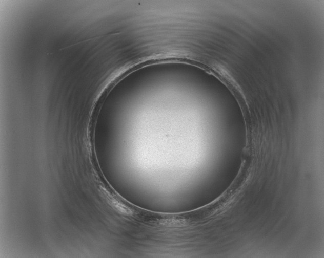 X0000062860789200601271529