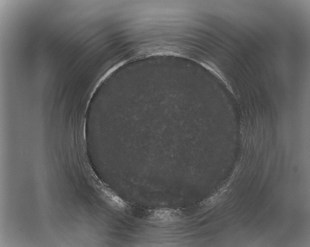 X0000062860790200601271529