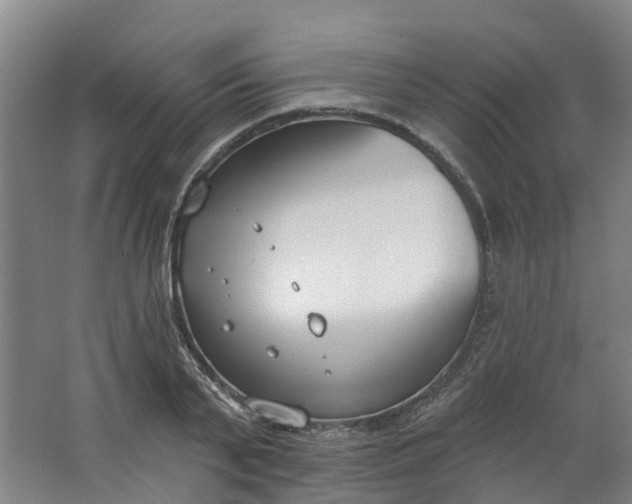 X0000062860791200601271529