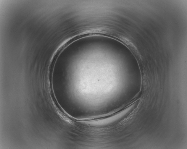 X0000062860792200601271529