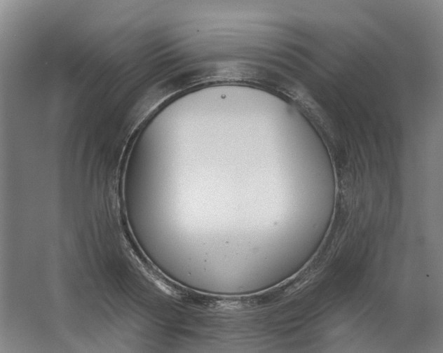 X0000062860794200601271529