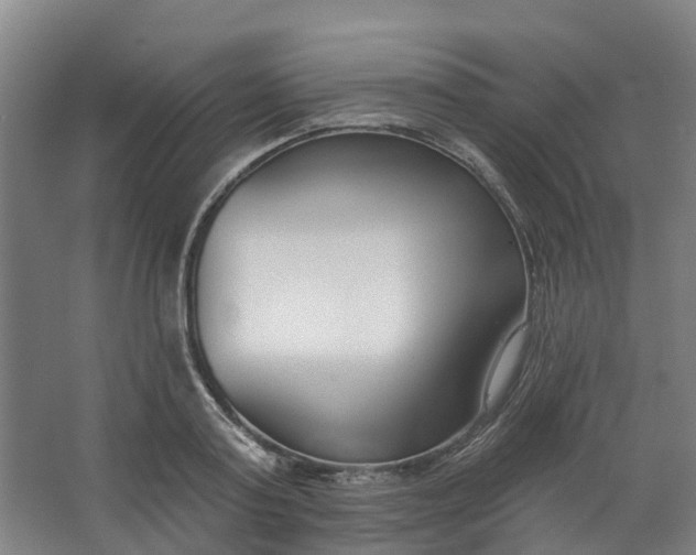 X0000062860795200601271529