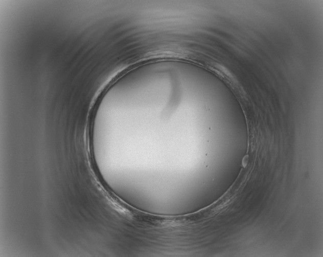 X0000062860796200601271529