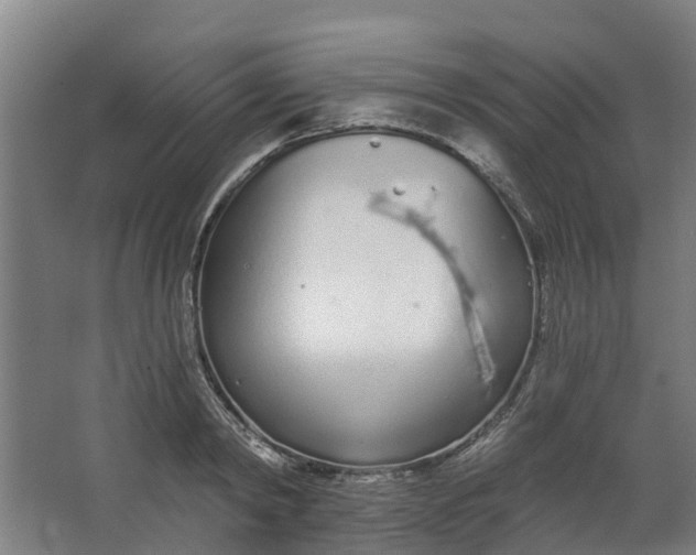 X0000062860798200601271529