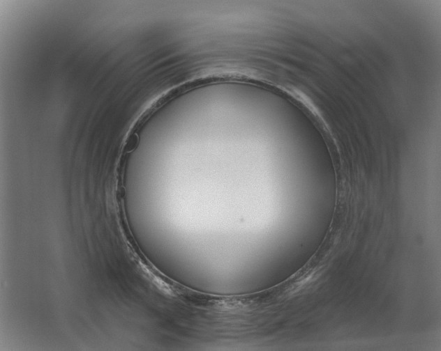 X0000062860799200601271529