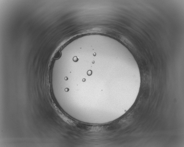 X0000062860800200601271528