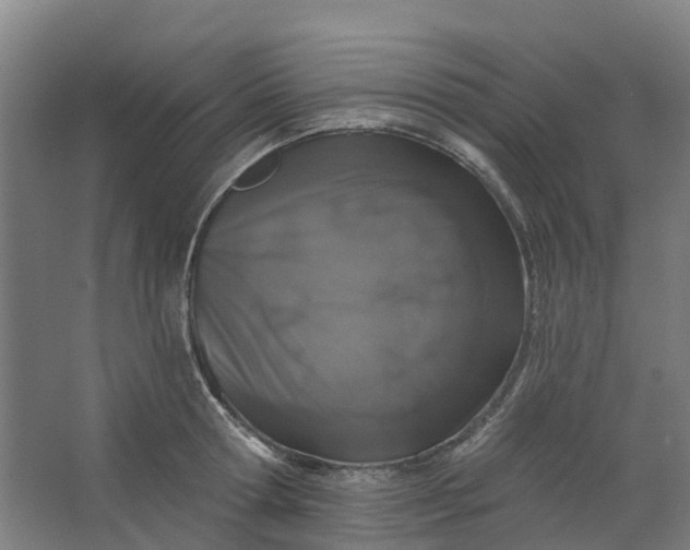 X0000062860802200601271528