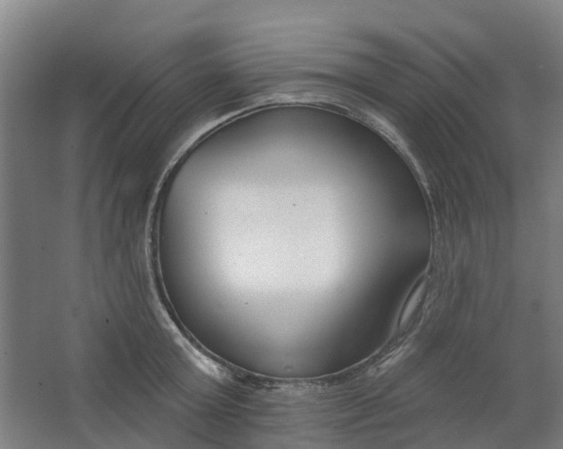 X0000062860803200601271528