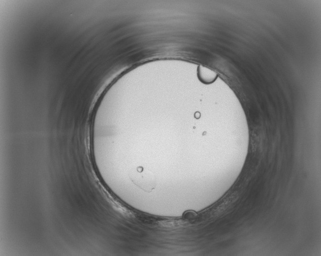 X0000062860804200601271528