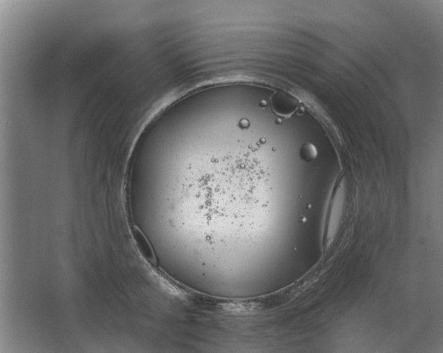 X0000062860805200601271528