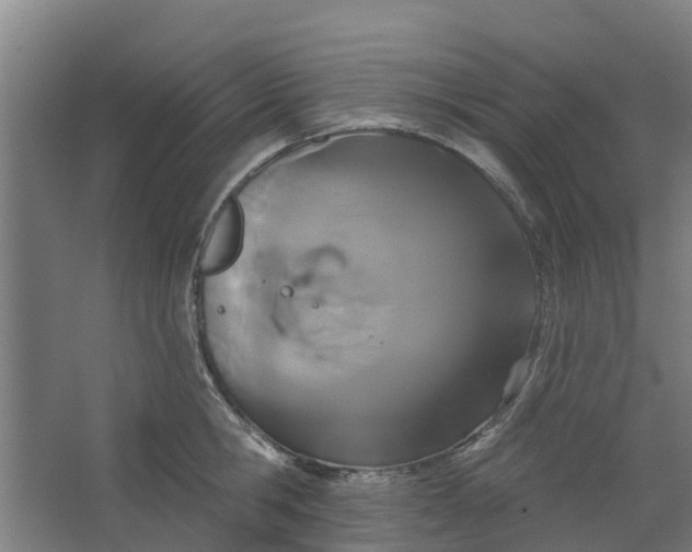 X0000062860806200601271528