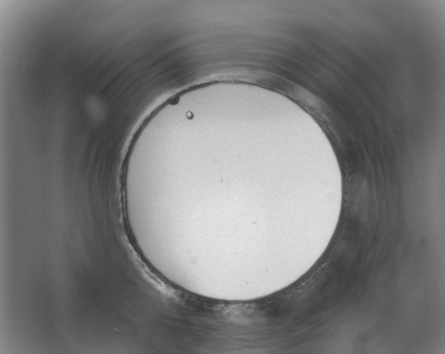 X0000062860808200601271528