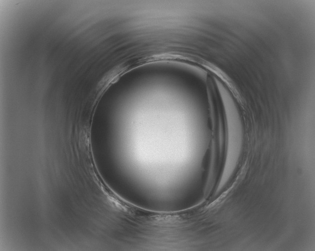 X0000062860809200601271528