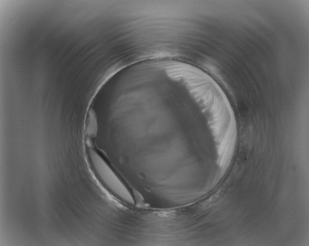 X0000062860810200601271528