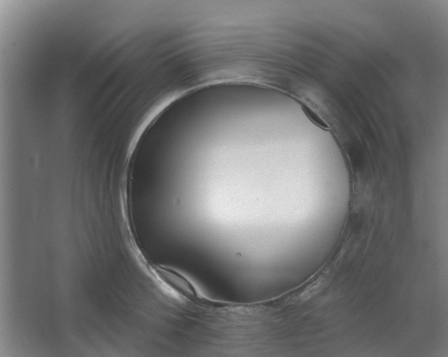 X0000062860812200601271528