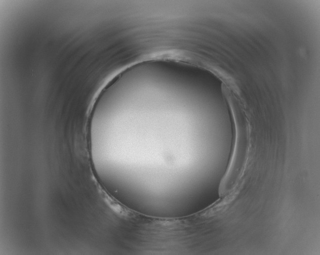 X0000062860816200601271528