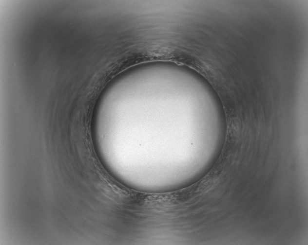 X0000062860817200601271527