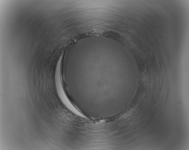 X0000062860818200601271527