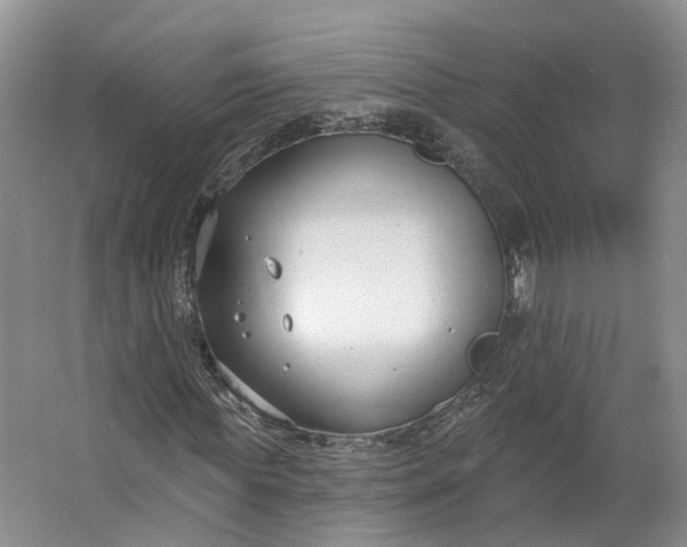 X0000062860819200601271527