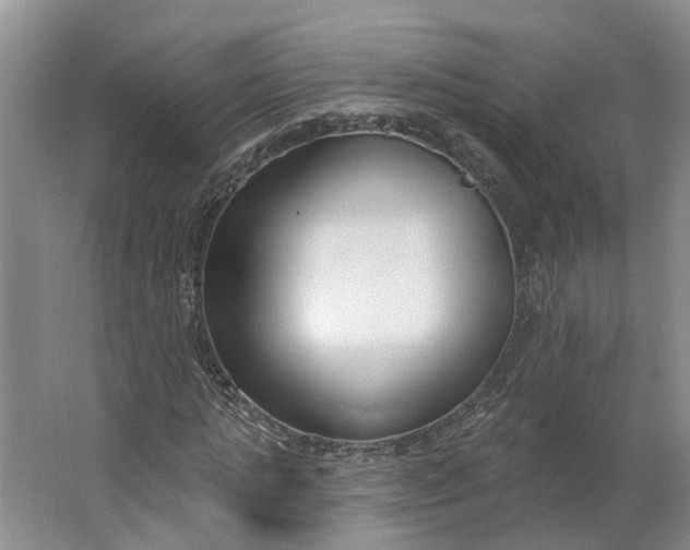 X0000062860821200601271527