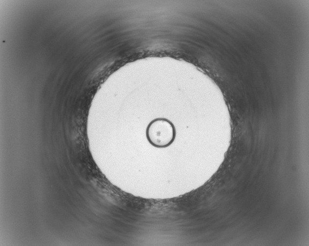 X0000062860824200601271528