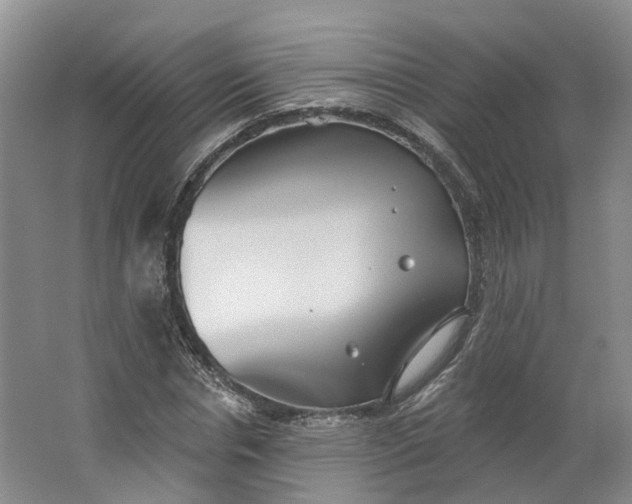 X0000062860826200601271528