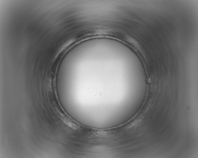 X0000062860827200601271528