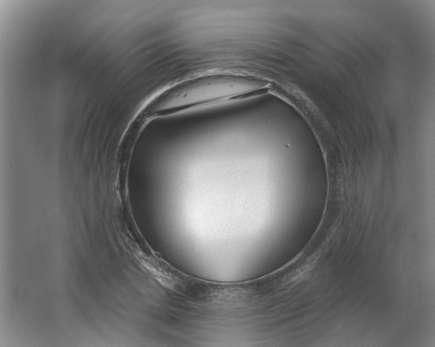 X0000062860830200601271528