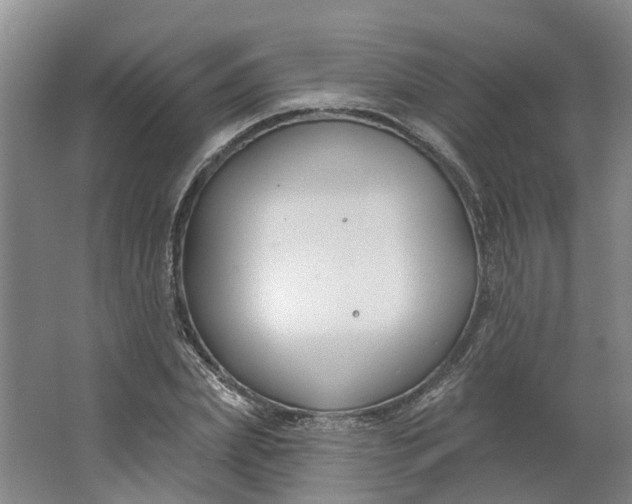 X0000062860831200601271528