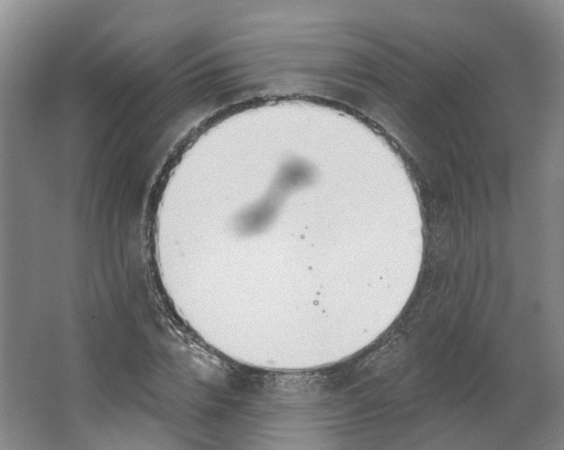 X0000062860832200601271528