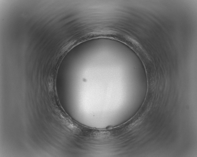 X0000062860833200601271528